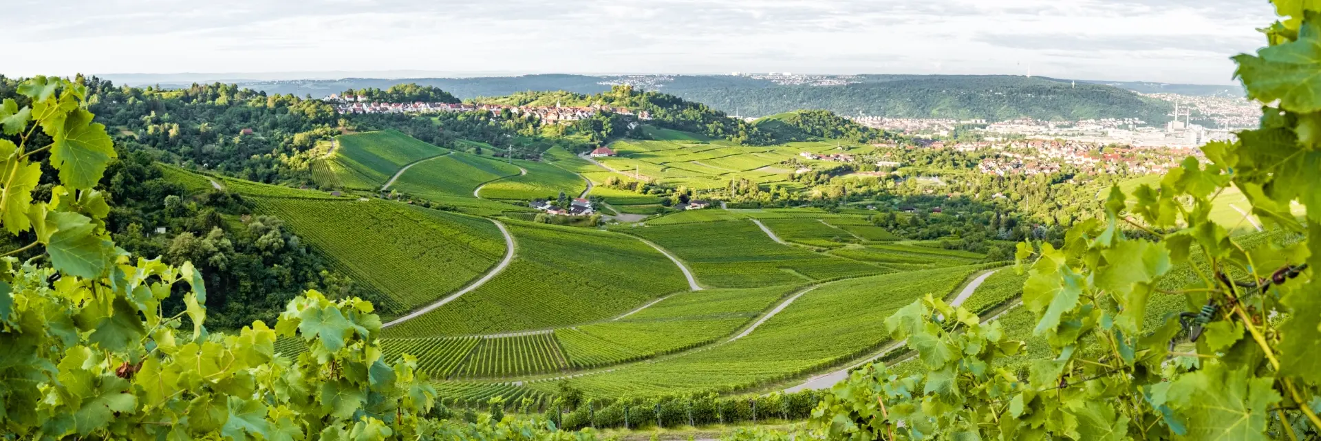 ADLA Immobilien engagiert sich in der Region